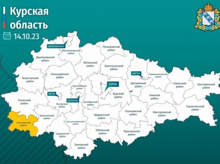В Курской области уничтожили украинский ударный беспилотник