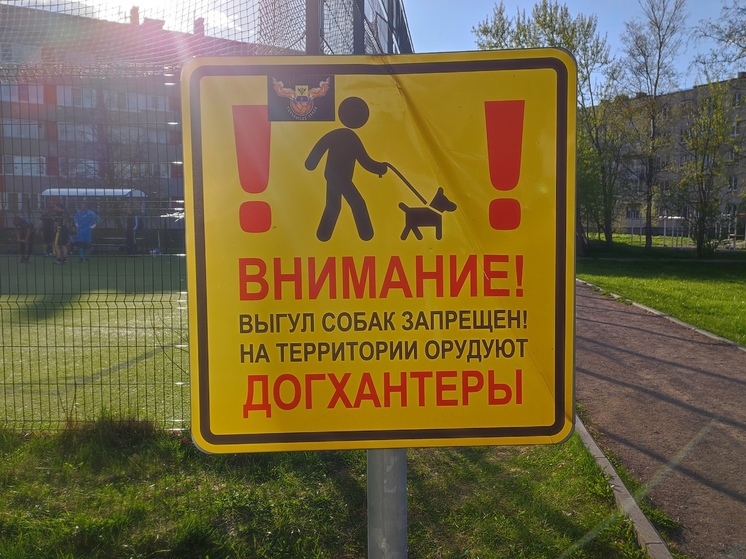 Петербуржцам объяснили, как выявить отравление у собаки