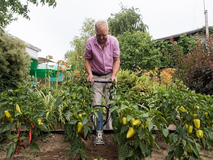 Как садоводство может помочь вашему здоровью
