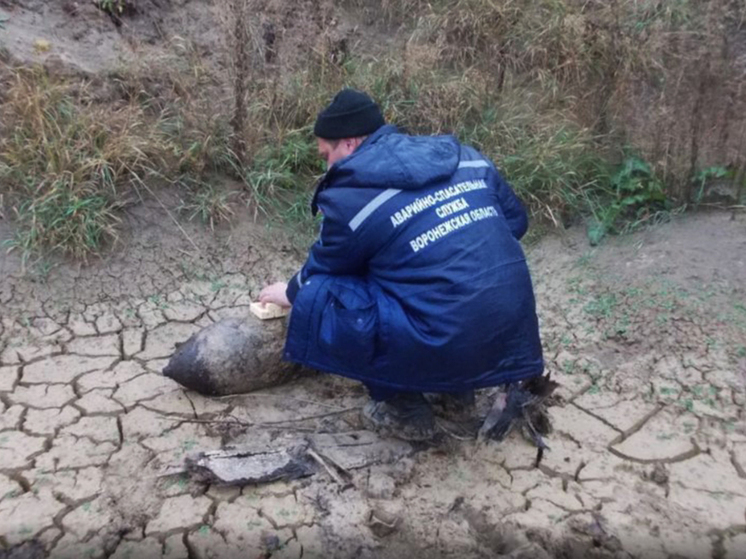 Под Воронежем уничтожили боеприпасы времен Великой Отечественной войны