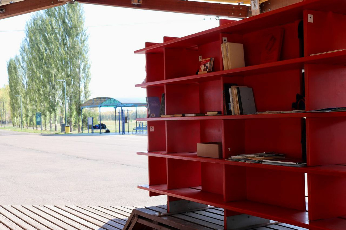 В красноярском Татышев-парке Красноярска появится книжный шкаф с сусликом