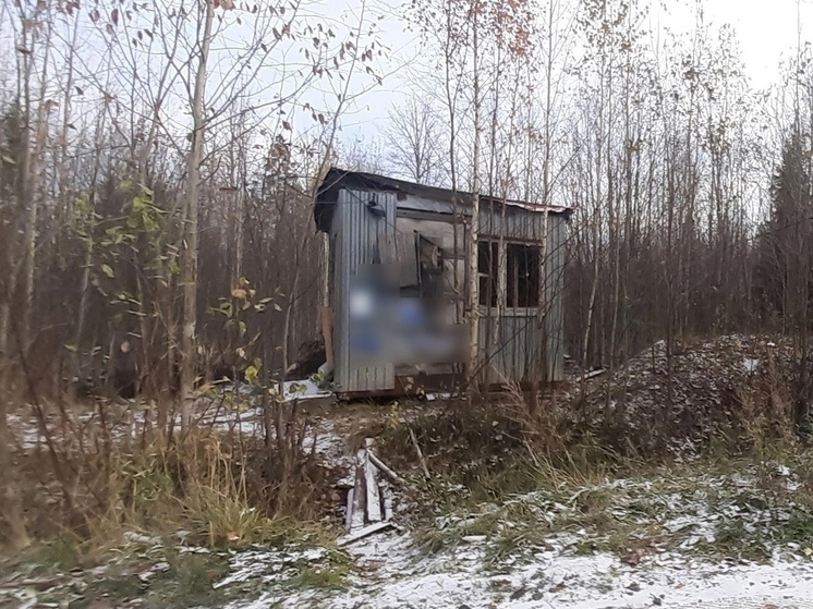 Власти начали сносить бытовки на участках в Петрозаводске