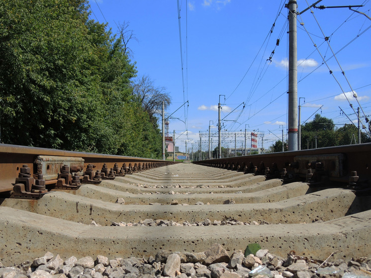 Russian Railways denied the shortage of spare parts for Sapsan and Lastochka