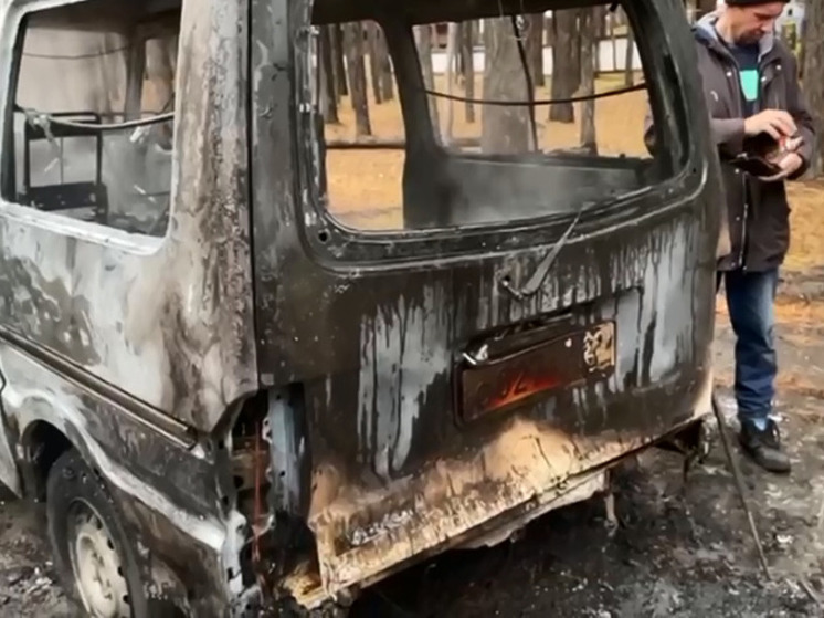 В Барнауле рядом с лыжной базой «Динамо» сгорел автомобиль