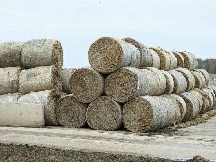 Подмосковье перевыполнило план по заготовке кормов
