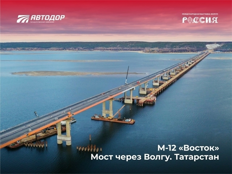 О сооружении моста на М12 в Татарстане расскажут на форуме в Москве