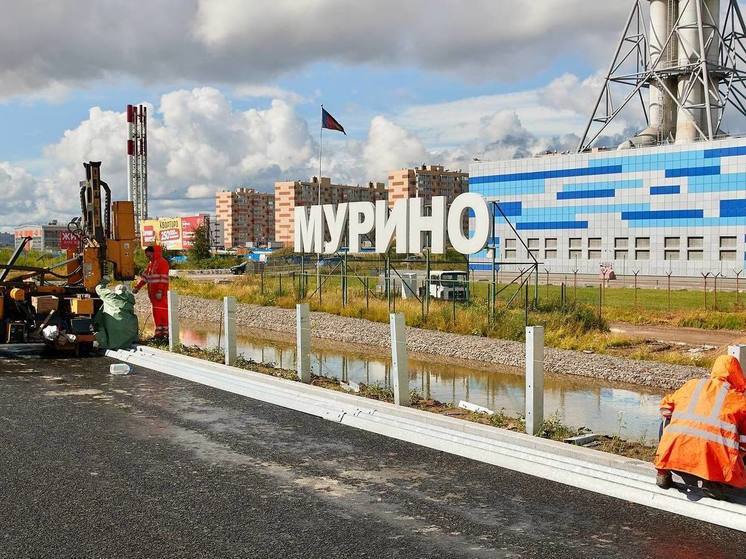 В Мурино Охтинскую аллею продлят до Шоссейной улицы