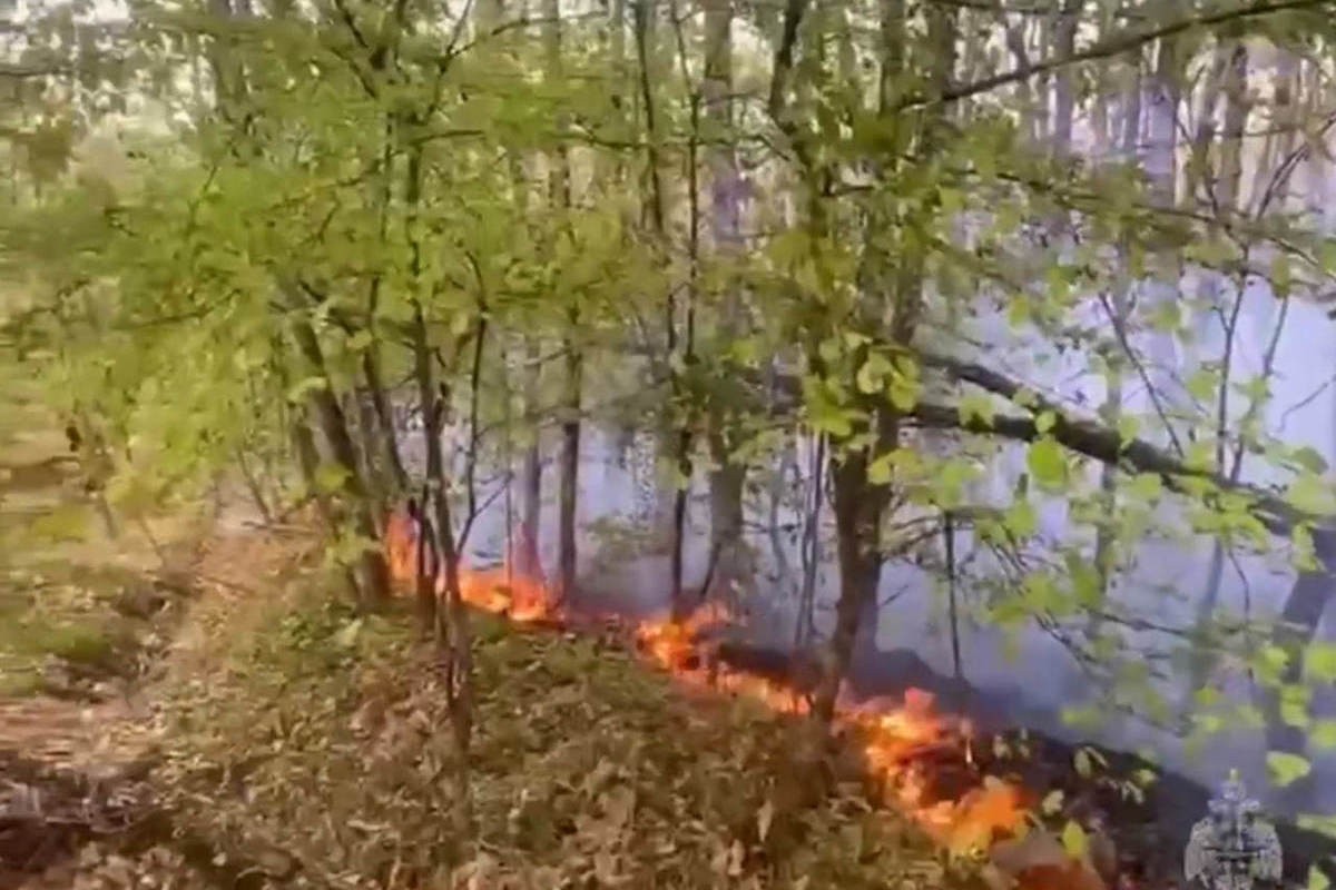 В Северском районе ликвидировали лесной пожар
