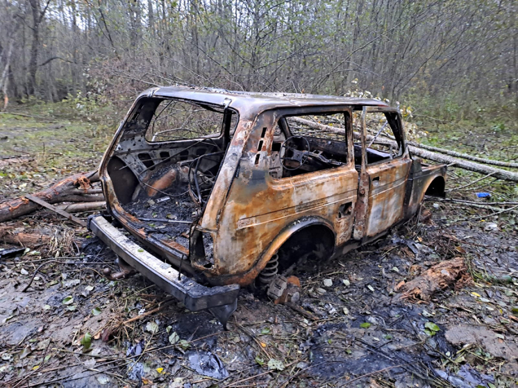 Новгородская полиция задержала в Ленобласти двух подозреваемых в кражах машин