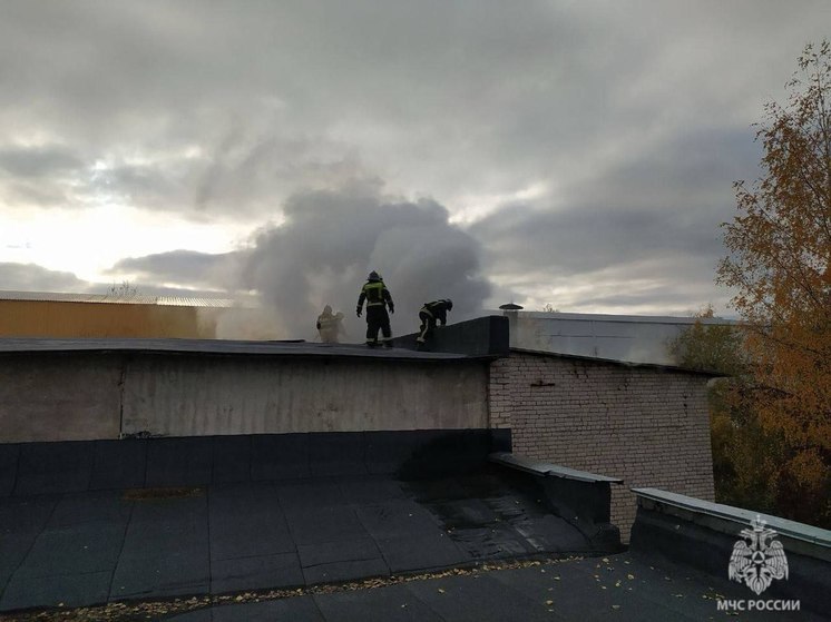 Пожарные ликвидировали возгорание в производственном здании в Великом Новгороде