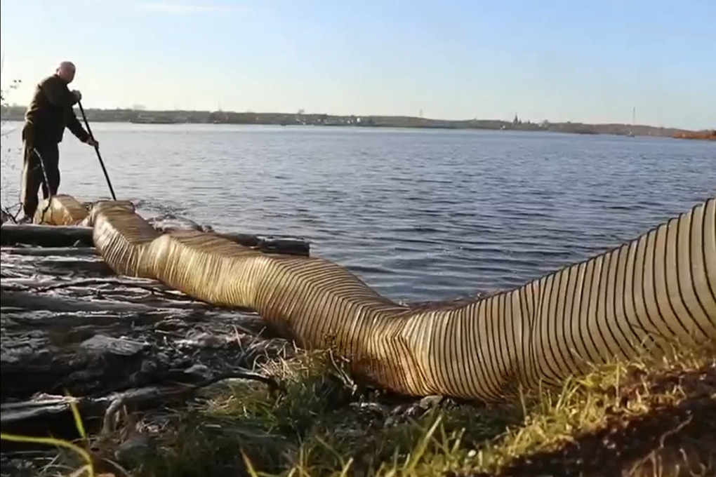 Полторы тысячи мальков сёмги выпустили в реку в Карелии