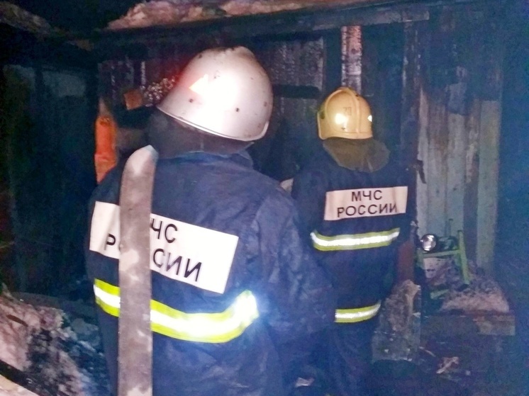 В Воронежской области двое пенсионеров пострадали при пожаре в дачном доме