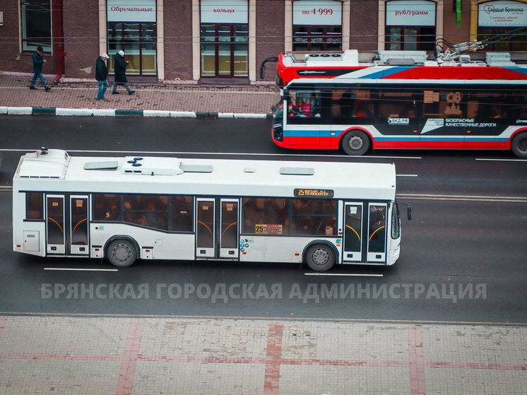 Брянску не хватает водителей общественного транспорта