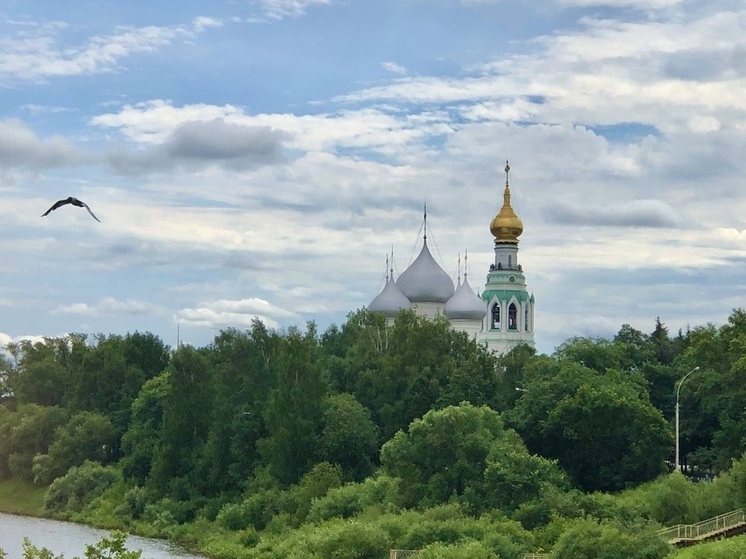 Вологодские школьники могут записать видеооткрытку о Вологодчине для конкурса