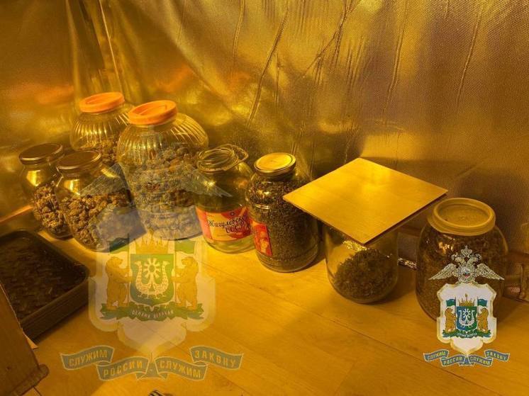 Целый онлайн-магазин с наркотиками прикрыли в Сургуте