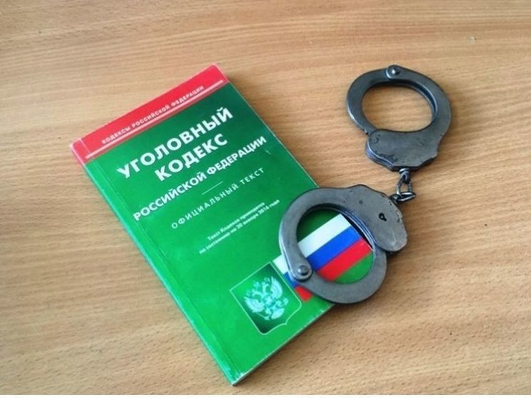 Смоленские оперативники раскрыли кражу телефона и денег у молодой девушки