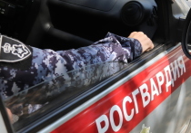 В Забайкалье сотрудники Росгвардии с начала 2023 года задержали 210 человек, находящихся в розыске
