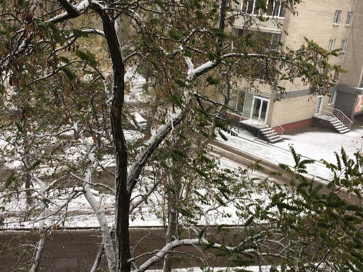 Власти Воронежа объяснили, почему не вывозился снег этой ночью