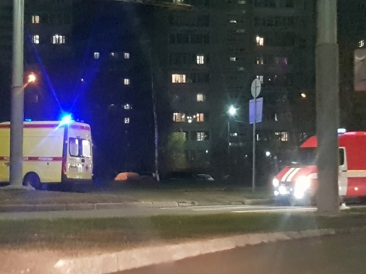 Пожарные нашли лежавшего на газоне в Петрозаводске человека