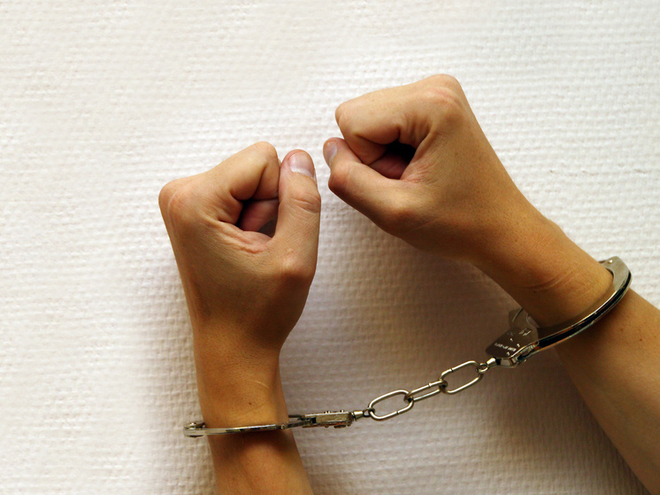 Житель Подмосковья приговорен к 11 годам колонии за убийство девушки