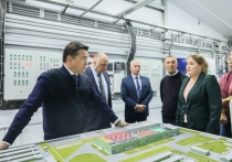 Проект обеспечит импортозамещение бройлеров в Подмосковье