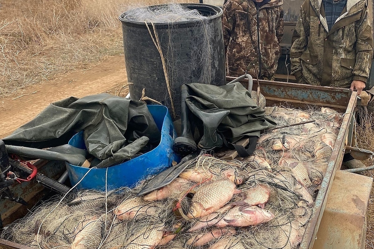 В Волгоградской области задержали браконьеров с 15 сетями