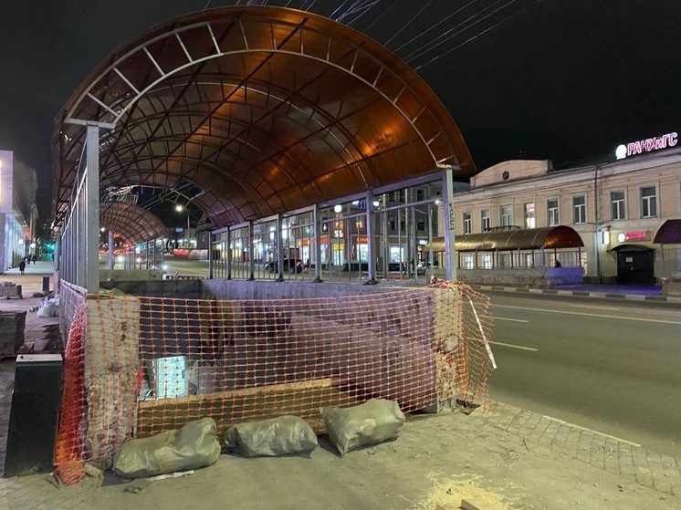 В подземных переходах на ул. Мосина и Каминского появятся портреты известных туляков