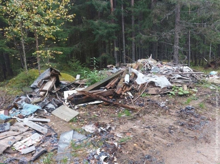 Огромная свалка мусора вернулась в лес в Карелии