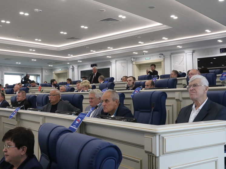 Депутатов голоса лишают: в парламенте Ленобласти договорились, как наказывать невоспитанных