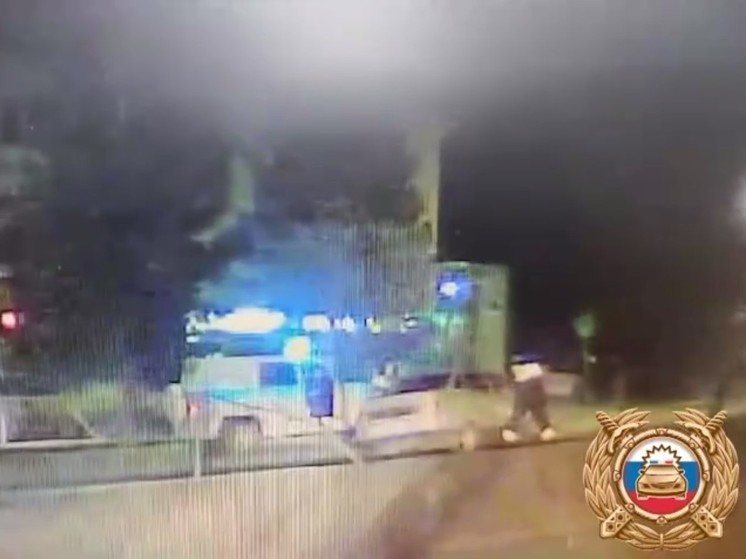 Автоинспекторы в Башкирии после погони задержали пьяного водителя