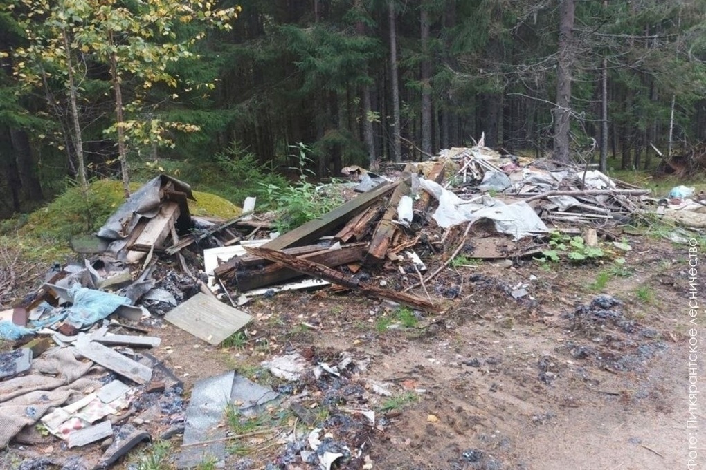 Огромная свалка мусора вернулась в лес в Карелии