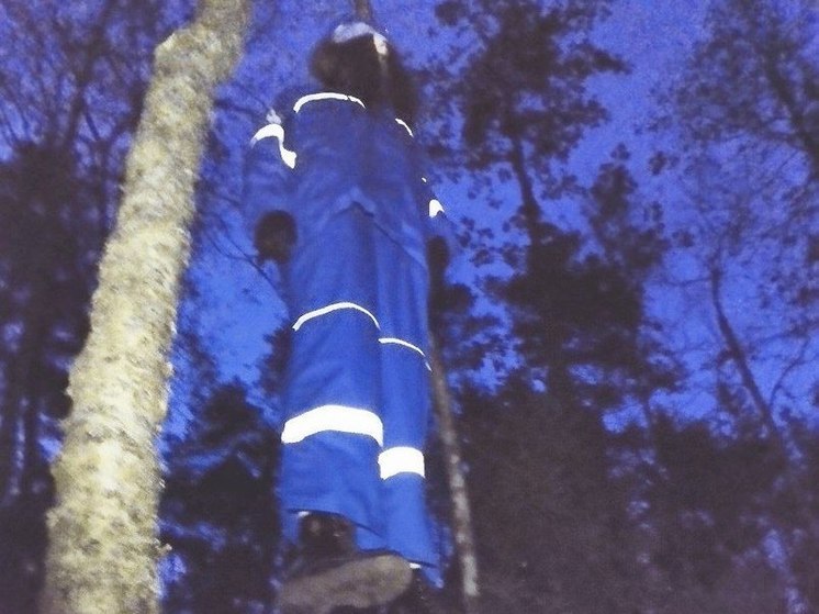 Лесные кошмары: тело-куклу в униформе «Газпромнефти» нашли на дереве в Зеленогорске