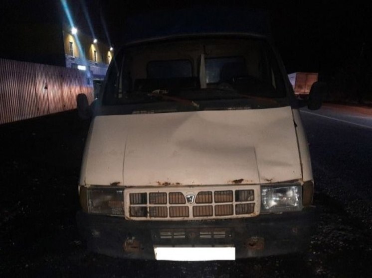 В Покрово-Пригородном водитель ГАЗели сбил 53-летнюю женщину