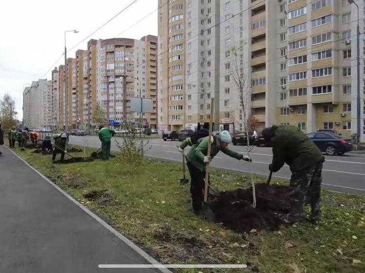 В Тамбове появились еще 97 молодых крупномеров
