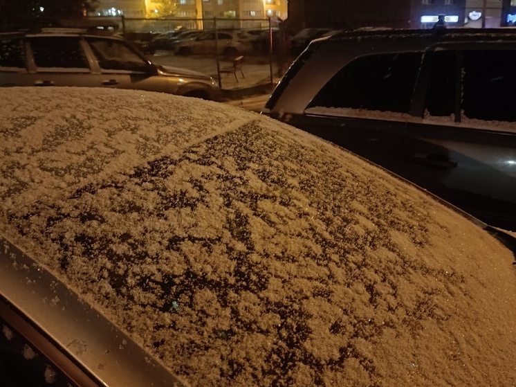 Вечером 26 октября в Рязани выпал первый снег