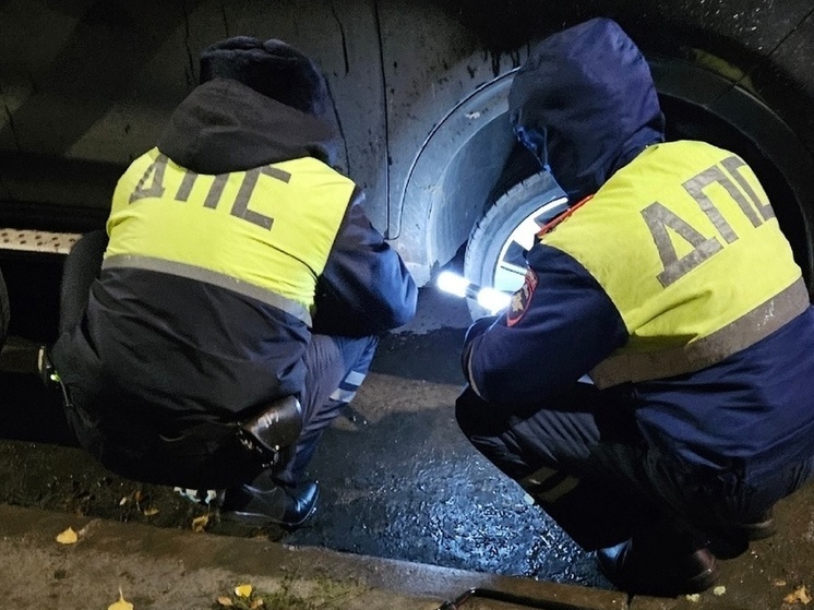В Курске рыцари из ДПС помогли автоледи поменять поврежденное колесо
