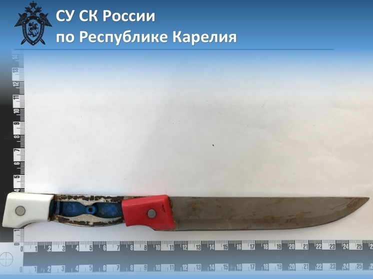 Пьяный житель Петрозаводска зарезал дочкиного ухажера