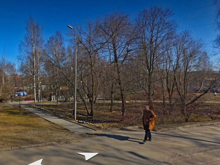 Хоть глаз выколи в парке Лес Победы в Петрозаводске