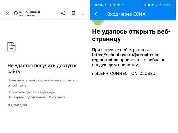 В Новосибирске произошёл массовый сбой в работе электронного дневника перед каникулами