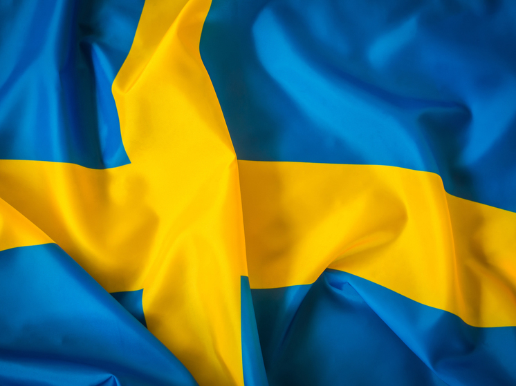SwebbTV: Швеция попала в западню из-за вступления в НАТО