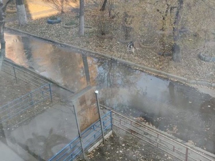 По улице Ворошилова в Хабаровске несколько часов не могут устранить порыв