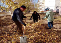 В столице Бурятии управляющие организации продолжают борьбу с опавшей листвой и бытовым мусором