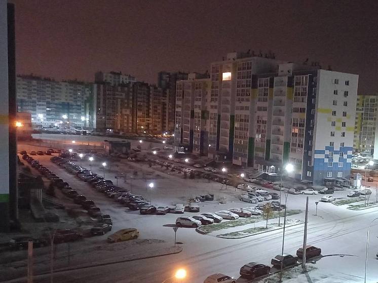 В Пензе выпал первый снег