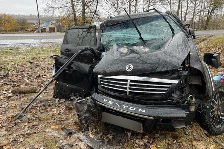 При наезде на дерево под Воронежем погибла пассажир легковушки