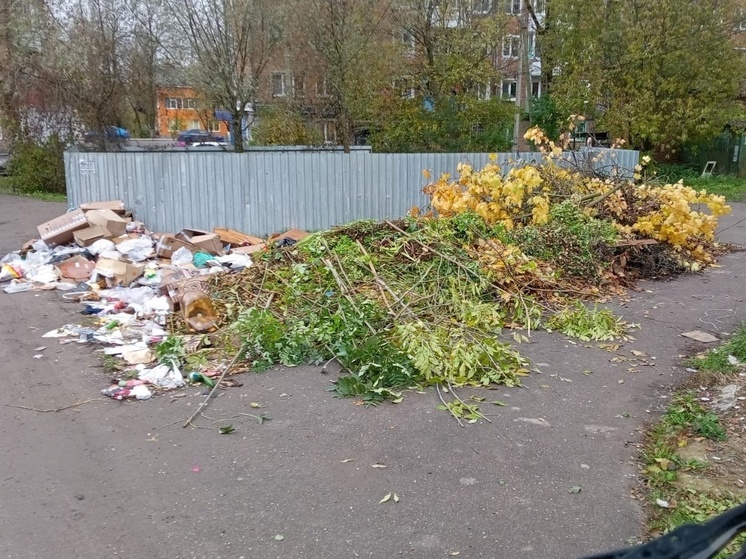 В Сафонове ликвидирована очередная свалка