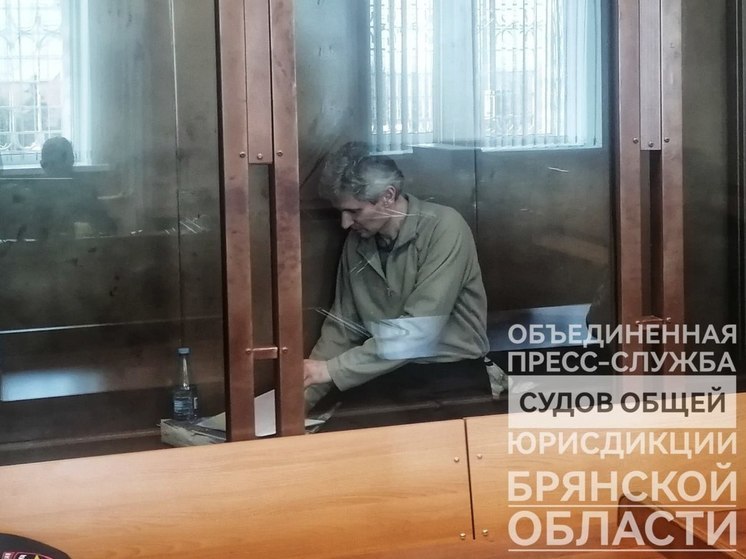 Брянский суд не смягчил приговор контрабандисту Лавриненко