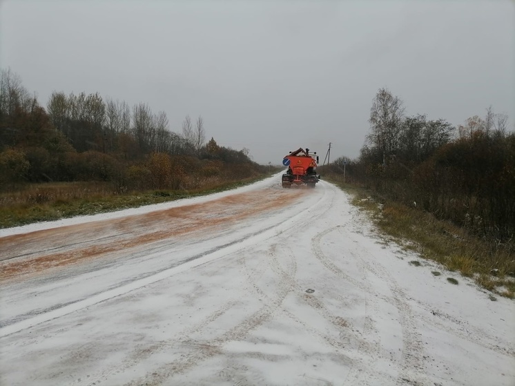 После снегопада на дороги Новгородской области вышла спецтехника