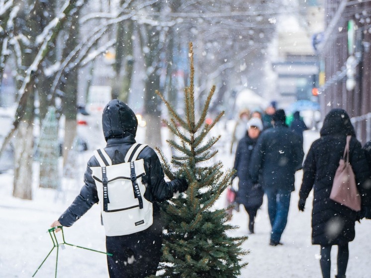 Германия — Рождественские елки в этом году подорожают