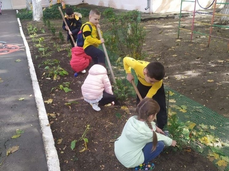 Почти 700 саженцев берёз, кедра, липы, сосны и дуба посадила молодежь в .