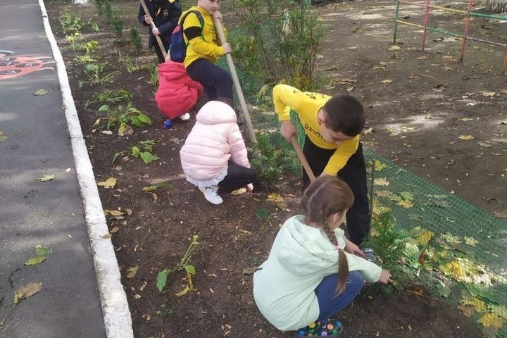 Почти 700 саженцев берёз, кедра, липы, сосны и дуба посадила молодежь в Георгиевске